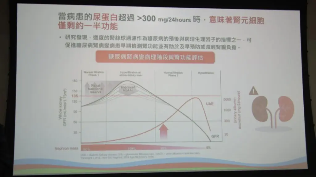 糖尿病腎病變蛋白尿與腎功能惡化早期介入重點